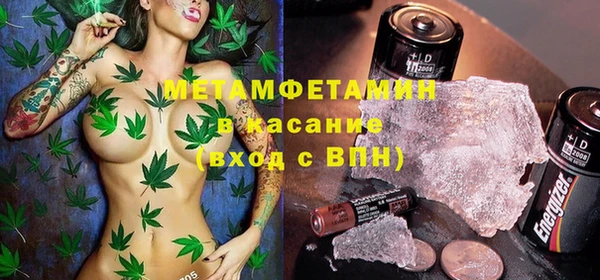 шишки Арсеньев