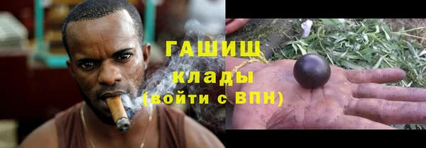 шишки Арсеньев