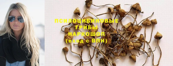 mdpv Алексин