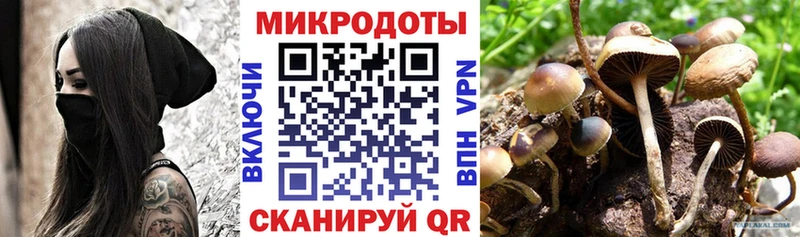 Галлюциногенные грибы MAGIC MUSHROOMS  Цимлянск 